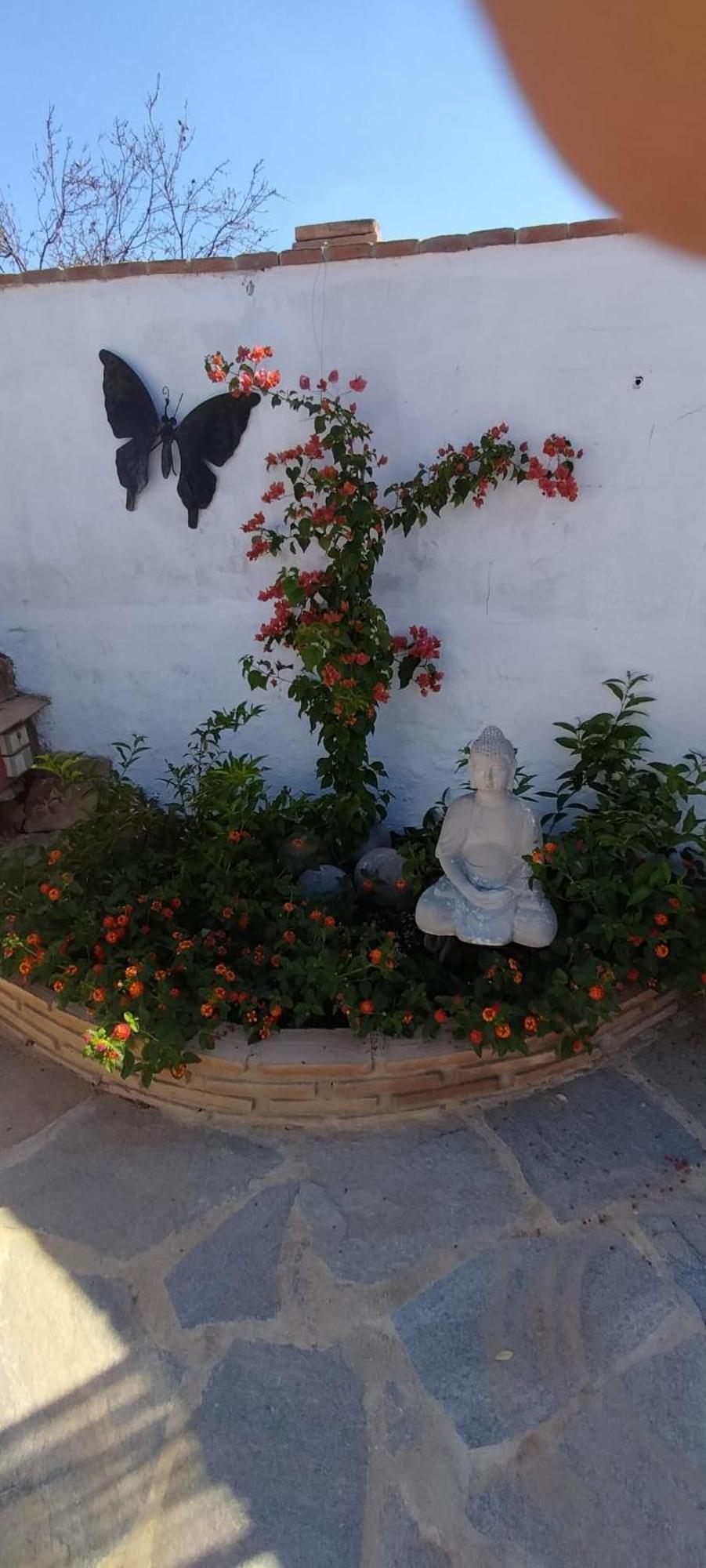 Bed and Breakfast Casa Ceratonia à Alora Extérieur photo